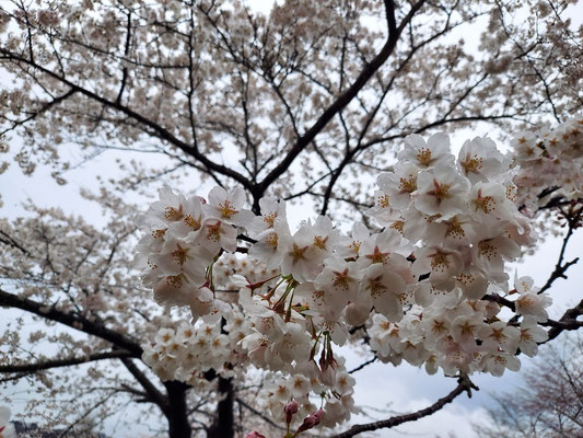 鹿瀬(角神)ダム