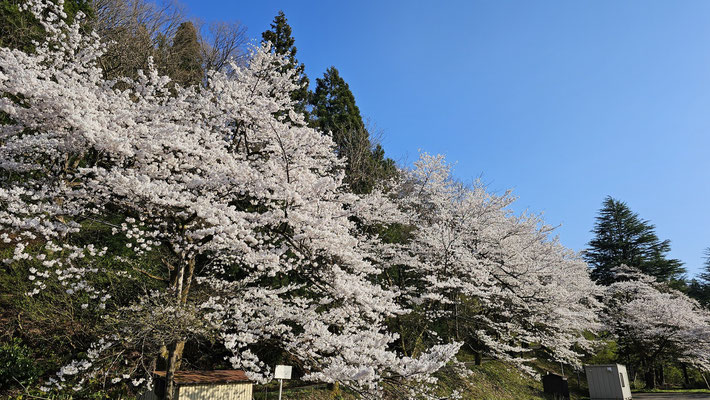 揚川ダム2