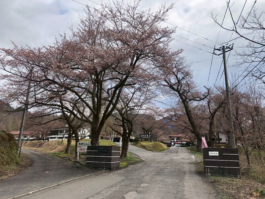 ホテル角神
