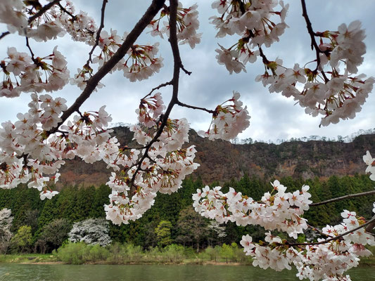 麒麟山公園