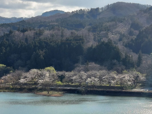 揚川ダム