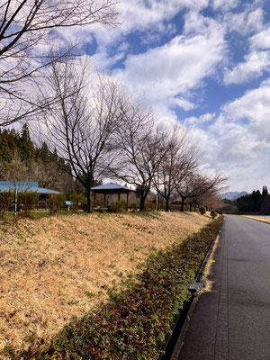 向ノ島公園