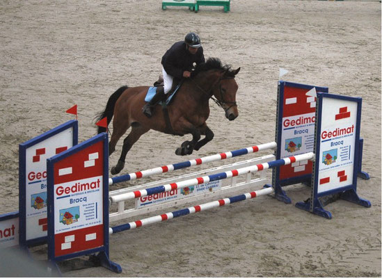 Competitions 2014 Site De Harasdelermitage