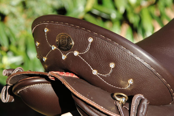 El Campo Brillant by Rolf Janzen - SüdSattel