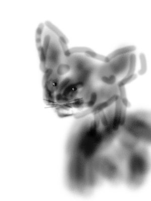 Katze