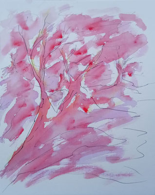 o.T., 24x30 cm