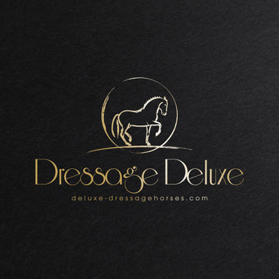 tiere | pferde | reitsport