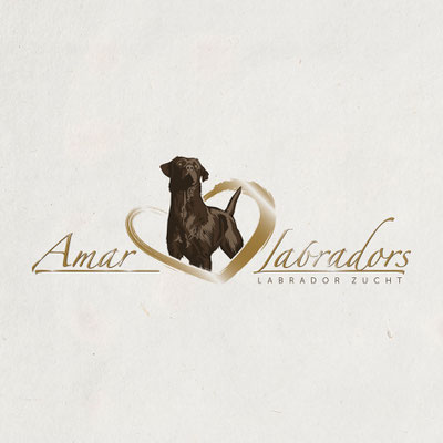 tiere | hunde | zucht