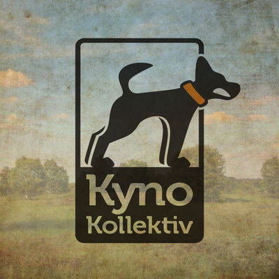 tiere | hunde | hundeschule 