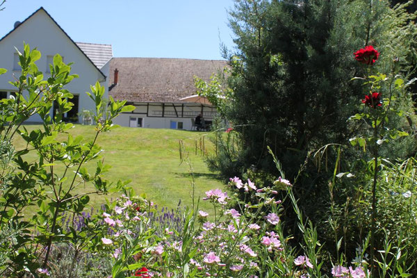 Vue depuis le fond du jardin
