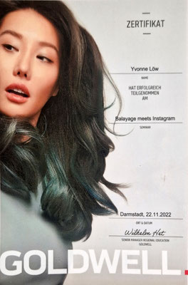Balayage meets Instagram - November/2022