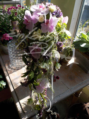 tropfen Brautstrauß Orchidee Einfach Blume 