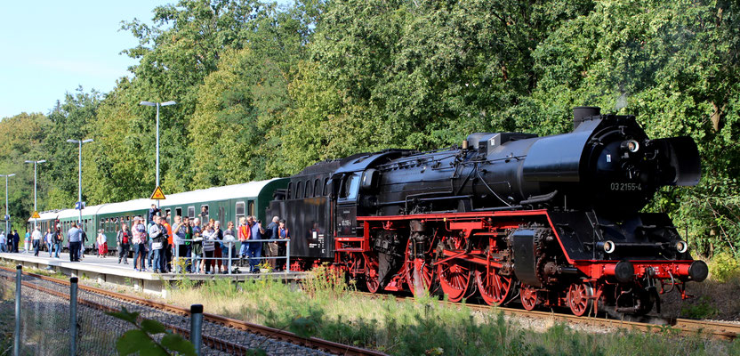 09. September 2018: Schnellzuglok 03 155 mit Sonderzug zum 120. Jubiläum der Strecke KW-Grunow