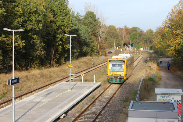 27.10.2014: Einfahrt OEDEG VT 64 auf Gleis 2
