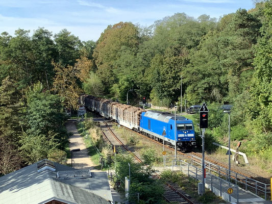 23.09.2022: Neuerdings wird jede Menge Holz nach Beeskow geliefert, Lok 285 102 der PRESS führt einen von zwei Zügen an diesem Tag 