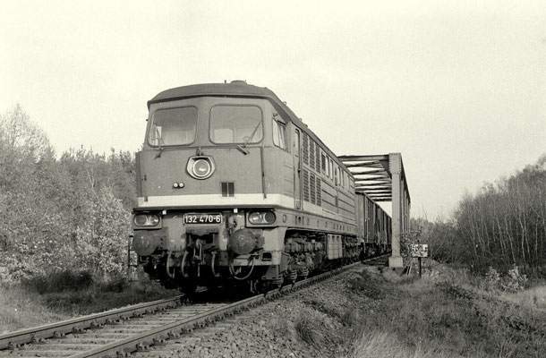 Lok 132 470 mit Güterzug bei Müllrose, 1989