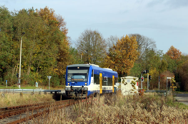 NEB-VT 009 nach KW bei Einfahrt in den Bahnhof Zernsdorf, 12.11.2017 