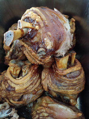 photographed by Kathi