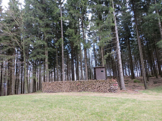 WaldFranz  (Forest.Frank@gmx.at)