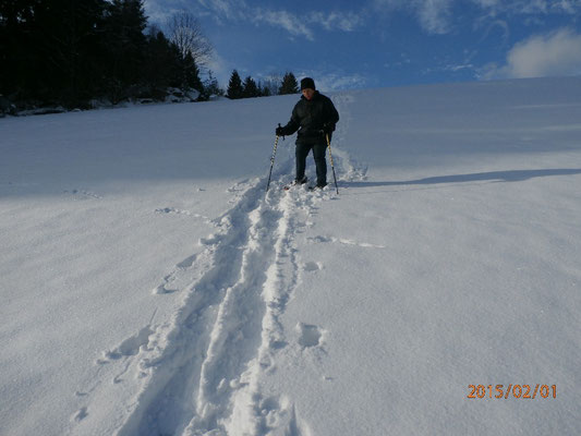 WaldFranz  (Forest.Frank@gmx.at)