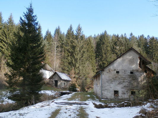 WaldFranz  (Forest.Frank@gmx.at)