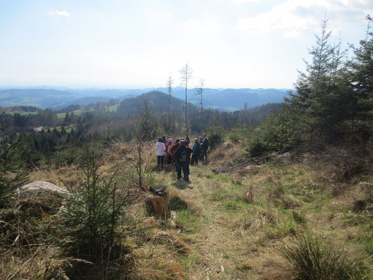 WaldFranz  (Forest.Frank@gmx.at)