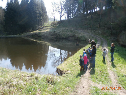 WaldFranz  (Forest.Frank@gmx.at)