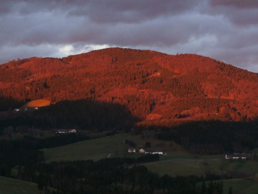 WaldFranz  (Forest.Frank@gmx.at)