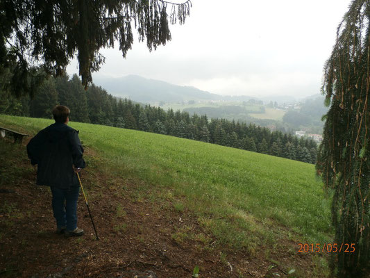 WaldFranz  (Forest.Frank@gmx.at)