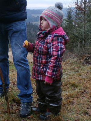 WaldFranz  (Forest.Frank@gmx.at)