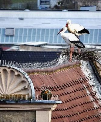 Bild: Doris Geiger, 01.04.2024