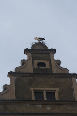 Bild: Doris Geiger, 29.03.2024