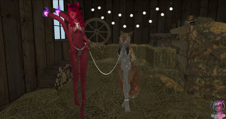Walking with Pet