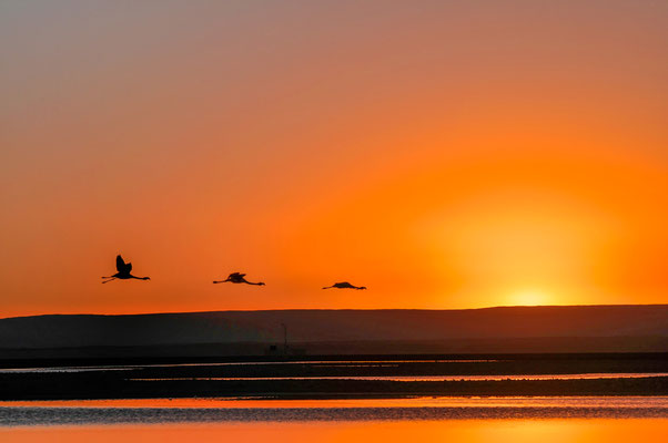 AAtacama/Chile