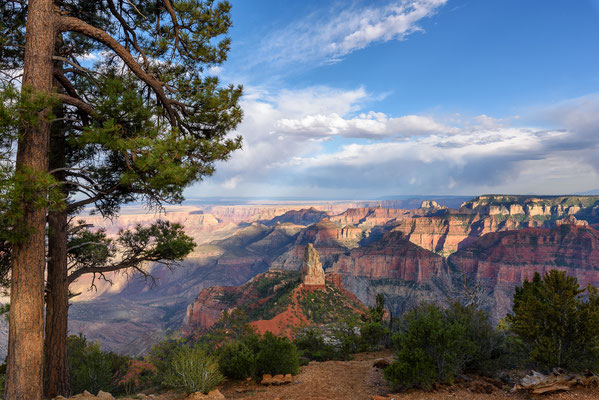 Blick über den Grand Canyon, Arizona