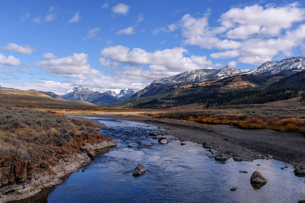 Lamar Valley - Yellowstone