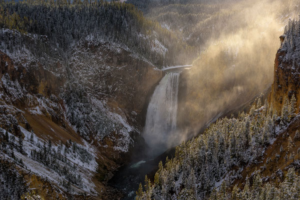 Lower Falls - Yellowstone NP, Wyoming