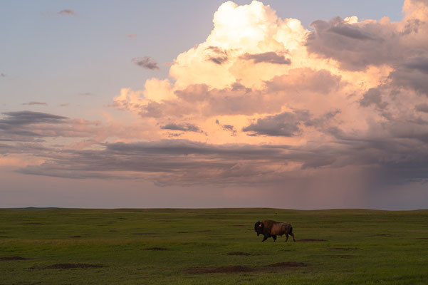 Nach dem Sturm - South Dakota