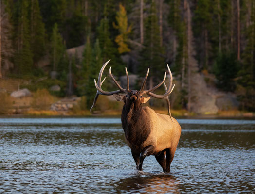 Colorado