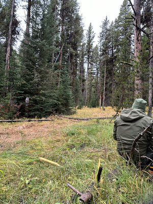 Mit einem Bartkauz - Yellowstone