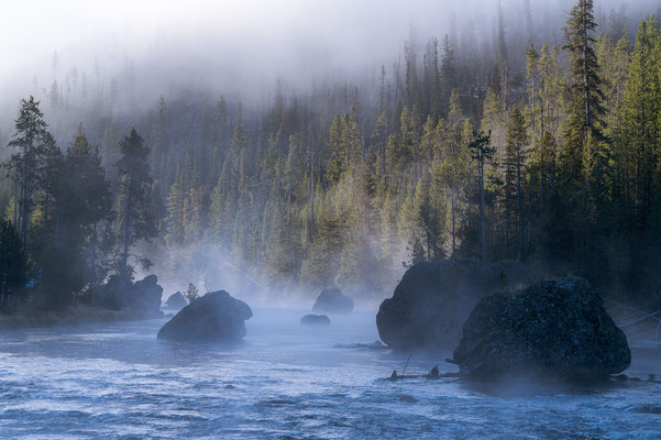 Morgenstimmung  - Yellowstone