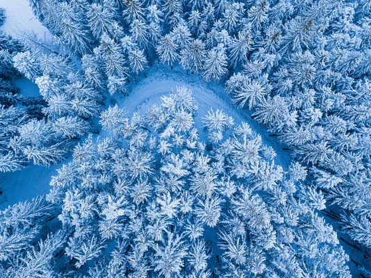 Verschneite Bäume aus der Vogelperspektive