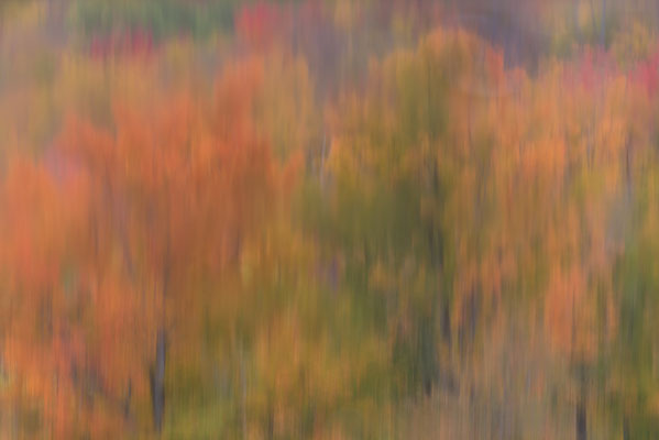 Herbstliche Spiegelung, New Hampshire