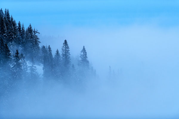 Winterliche Nebellandschaft in Fischbach