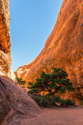 Arches NP, Utah