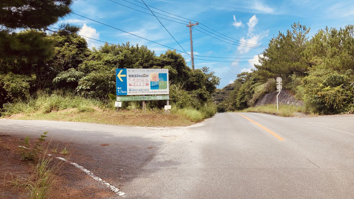 左折しないで直進！　　Don't turn left, go straight!　　不要左轉，直走！　　좌회전하지 않고 직진!
