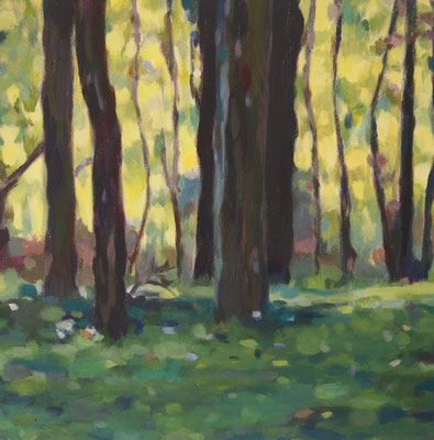 Sommerwald, Acryl auf Leinwand 40 x 40, 2014 