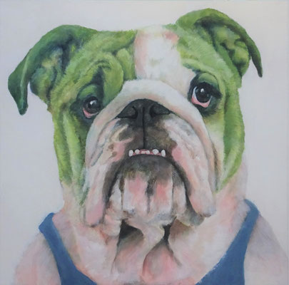 grünes Bulldoggenportrait Ada