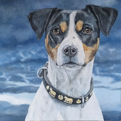 Ratonero Bodeguero Andaluz