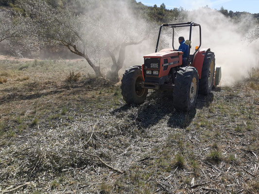 Activitat de trituració de les branques d'esporga d'oliveres. Zona Vallmajor (La Granadella)